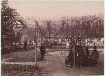 Япония. Групповое фото "Под навесом". Конец 19 века. Размер: 27x19см..