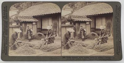 Япония. Стереопара "Работа женщин состоятельных фермеров". г. Киото. Размер: 9х17,5см.