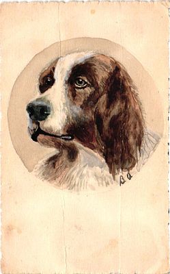 Открытое письмо (рисунок) "Собака". Худ. В.О.. Б.м. и г., 9 х 14 см