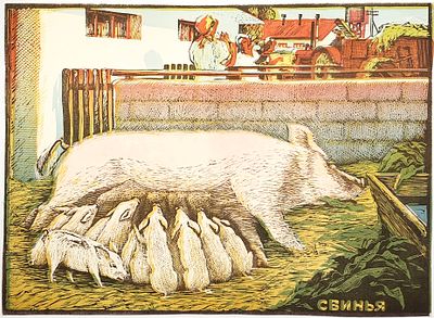 Плакат "Свинья". Размер: 46,5х33,5см.