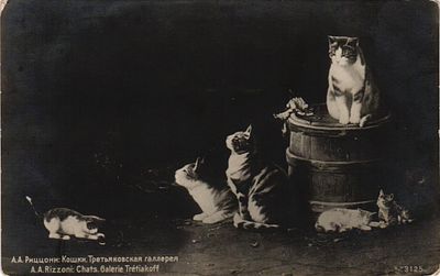 Открытое письмо "Кошки". А.А. Риццони. О-во попечения о бедных, б.г., 9 х 14 см