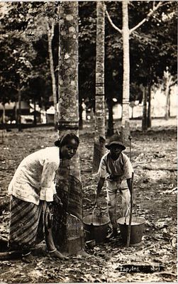 Открытое письмо "Типы". Б.м. и г., 9 х 14 см