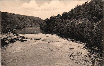 Открытое письмо "№ 23. Житомир. Река Тетерев". Изд. Г.Н. Лейбенгарца, б.г., 9 х 14 см