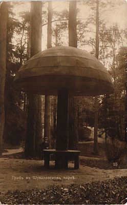 Открытое письмо "Гриб в Шуваловском парке". Б.м. и г., 9 х 14 см