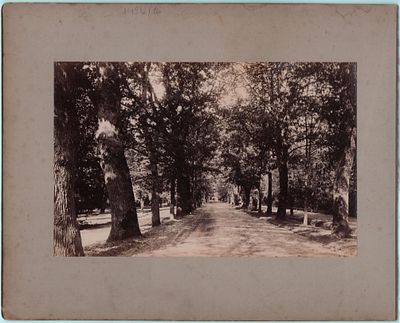 Двухсторонняя фотография на картоне "Парк". Размер: 12х19см., 16,5х25,5см., 33,5х27,5см. 