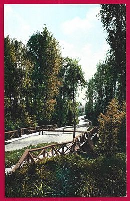 Томск. Университетская Роща. изд. Гранберг. . П-9664