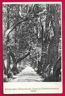 Лагерь при с.Клементьеве. Аллея в Клементьевском парке. П-8406