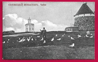 Соловецкий монастырь. Чайки. Изд. А.П.Булычевой. Архангельск. 1914г. П-9215