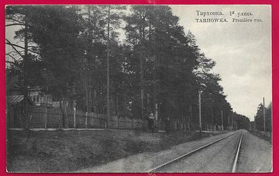 Тарховка. 1-я улица. . П-9806