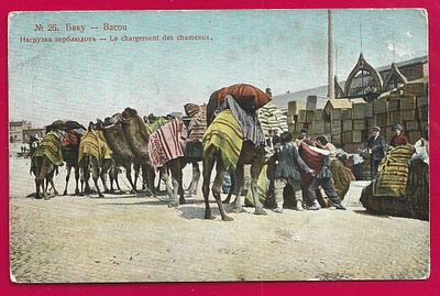 Баку. Нагрузка верблюдов. П-9252