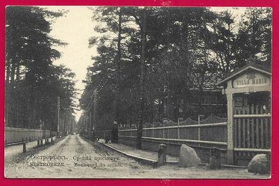 Сестрорецк. Средний проспект. П-9794