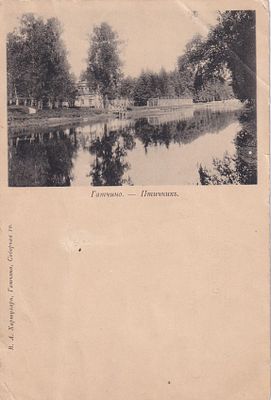 Гатчино. Птичник. изд. Хартулари. П-9915