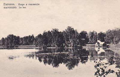 Гатчина. Озеро и Голландия. П-9915
