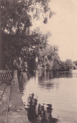 Царское Село. Над озером. фототипия Дресслера. . П-9940