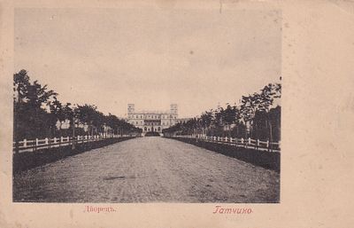 Гатчино. Дворец. . П-9940
