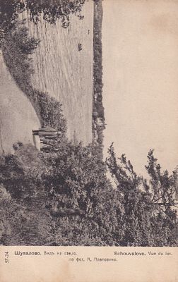 Шувалово. Вид на озеро. фототипия Дресслера. . П-9940