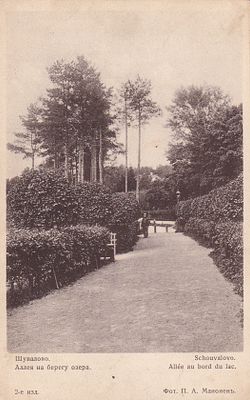 Шувалово. Аллея на берегу озера. изд. Голике и Вильборг. . П-9940
