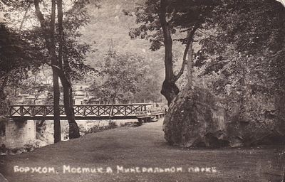Боржом. Мостик в Минеральном парке. . П-9945