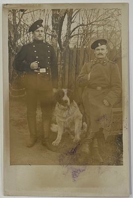 Фото открытка. Два нижних чина одного из полков РИА с собакой (алабай). ЯВ-1
