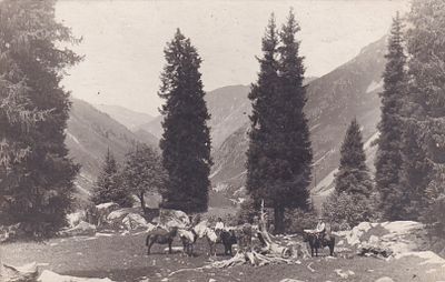 Алматинское ущелье. . П-9958