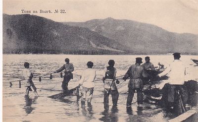 Тоня на Волге. изд. Ефимова. 1904г. . П-9987