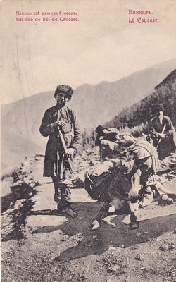 Кавказ. Кавказский вьючный осел. Акц. о-во Гранберг. Прошла почту марка. штемпель. к-340.