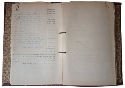 קלסר עם עשרות דפי חידושי תורה - כתב יד, ודפים מודפסים עם הגהות - לא נבדק כלל