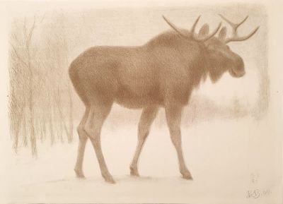 [Печатная графика] Ватагин Василий Алексеевич (1883–1969). Лось, 1960 г. Бумага 