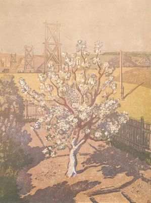 [Печатная графика] Пискарев Николай Иванович (1892–1959). Цветущая яблоня. 1949 г. Бумага 