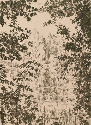 [Графика] Верейский Георгий Семёнович (1886–1962). Лесное озеро. 1955. Бумага, литография. 