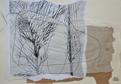 Арендт Мария Юрьевна (род. 1968). Леса, недавно столь густые. 2012. Бумага, аппликация, тушь 