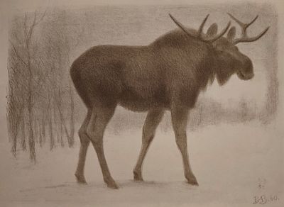 Ватагин Василий Алексеевич (1884—1969). Лось. 1960. Бумага, автолитография. 41,5&times;58 см. Внизу 