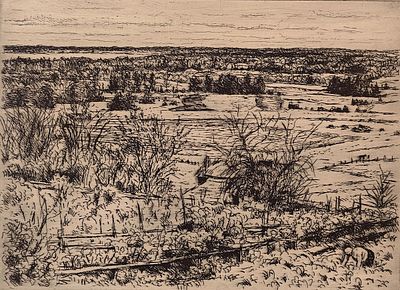 Верейский Георгий Семёнович (1886—1962). Деревенский пейзаж. 1940. Бумага, офорт. Размер 