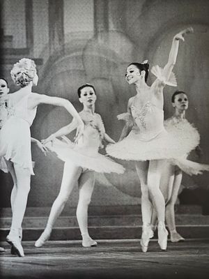 [Звёзды балета] Клюшкина Анна Прокофьевна. Балет на музыку Л. Минкуса &laquo;Дон Кихот&raquo;. Максимова. 