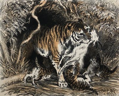Лаптев Алексей Михайлович (1905—1965). Тигры. 1941. Бумага, цветная автолитография. Размер 