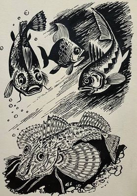 Аземша Александр Николаевич (1950—2014). Иллюстрация к сборнику С. Сахарнова &laquo;Рассказы и 