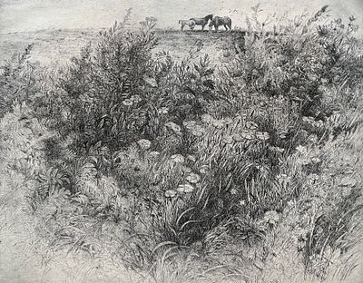 Губарев Виталий Петрович (род. 1936). Цветущий луг. 1990. Бумага, офорт. Тираж: 9/30. Размер 