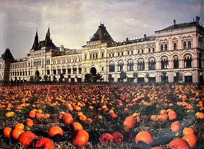 Инфанте Платон (род. 1978). Тыквы в саду. 2000-е. Цифровой коллаж, печать на холсте. 87 &times; 125 см. 