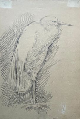 Бруни Лев Александрович (1894 — 1948). Цапля. Из серии "Зоопарк". 1920-30-е гг. Бумага 