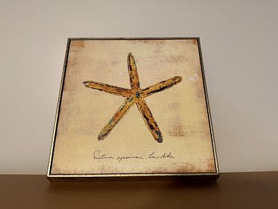 Starfish Painted Wall Hanging12" x 12"