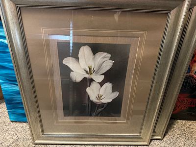 Large Flower Wall Hanging Picture. Large matted wall hanging picture of beautiful white