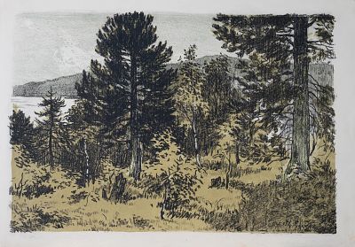 Подлясская Лидия Петровна - Лесной пейзаж. Аукцион: Аукцион № 37, часть 2 Основа: бумага Ширина: 39 