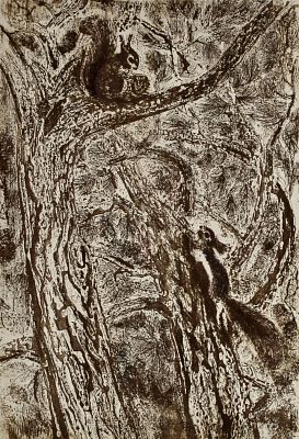 Бутрова Мария Николаевна - Белки. Аукцион: Аукцион № 37, часть 2 Основа: бумага Ширина: 17 