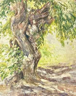 Лунев Николай Николаевич - Старая ива. Аукцион: Аукцион № 38, часть 4 Основа: бумага Техника: 