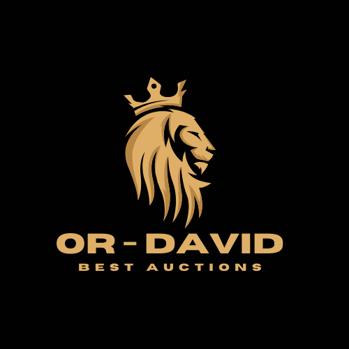 OR - DAVID | Auction 10