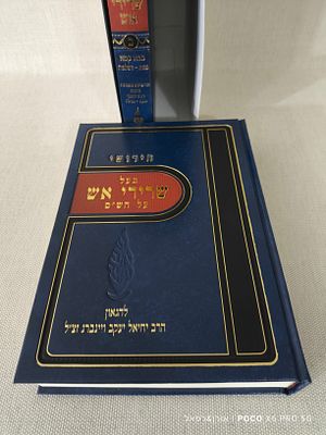 חידושי בעל שרידי אש 
רבי יחיאל יעקב וינברג 
2 כרכים מצב חדש לחלוטין מעולם לא היה בשימוש