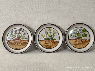סט 3 צלחות קרמיקה גרמנית עם איורים בוטנים בעיצוב 
Jo Tehel 
משולבות וו תלייה 
מצב 