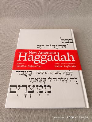 הגדה טיפוגרפית לפסח 
מצב חדש לחלוטין