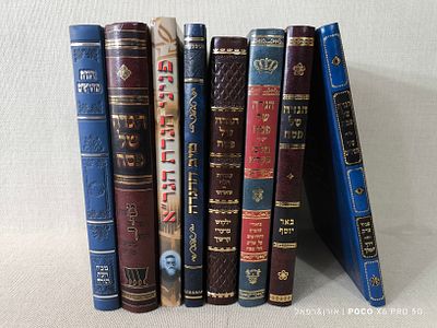 לוט 9 הגדות של פסח 
מצבים חדשים