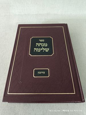 מנחה שלימה-עירובין 
חלק -א 
מצב חדש